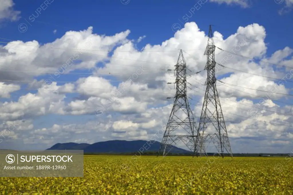 Hydro electric towers over a soya bean field