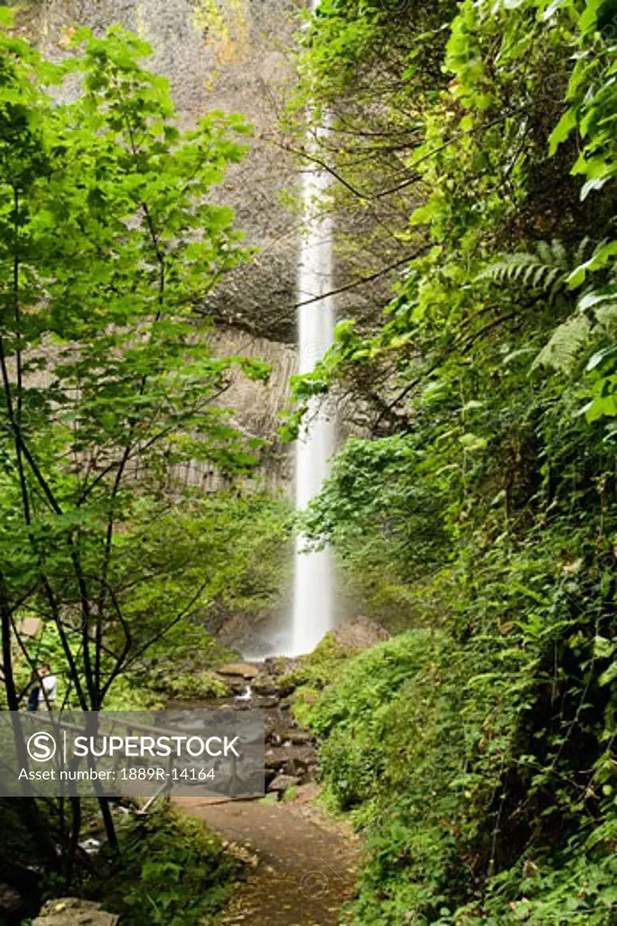 Latourell falls, Columbia River Gorge, Oregon, USA  