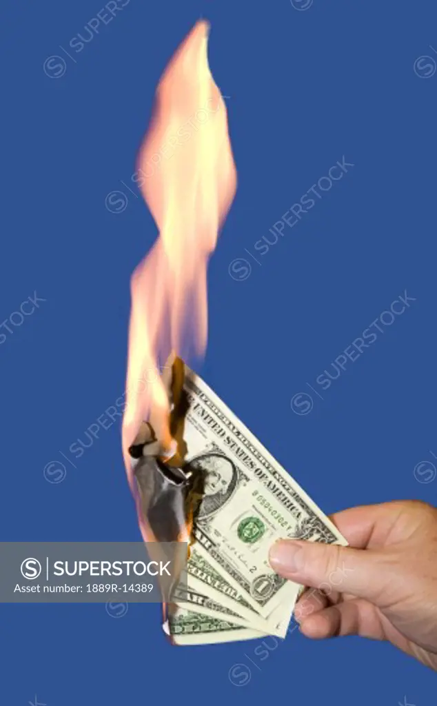 Burning American money