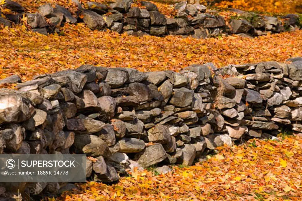 Rows of rocks and autumn leaves