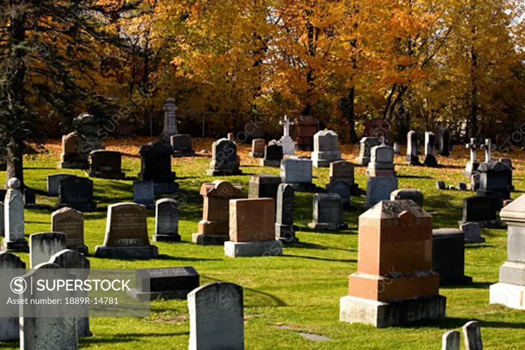 Cemetery in the fall