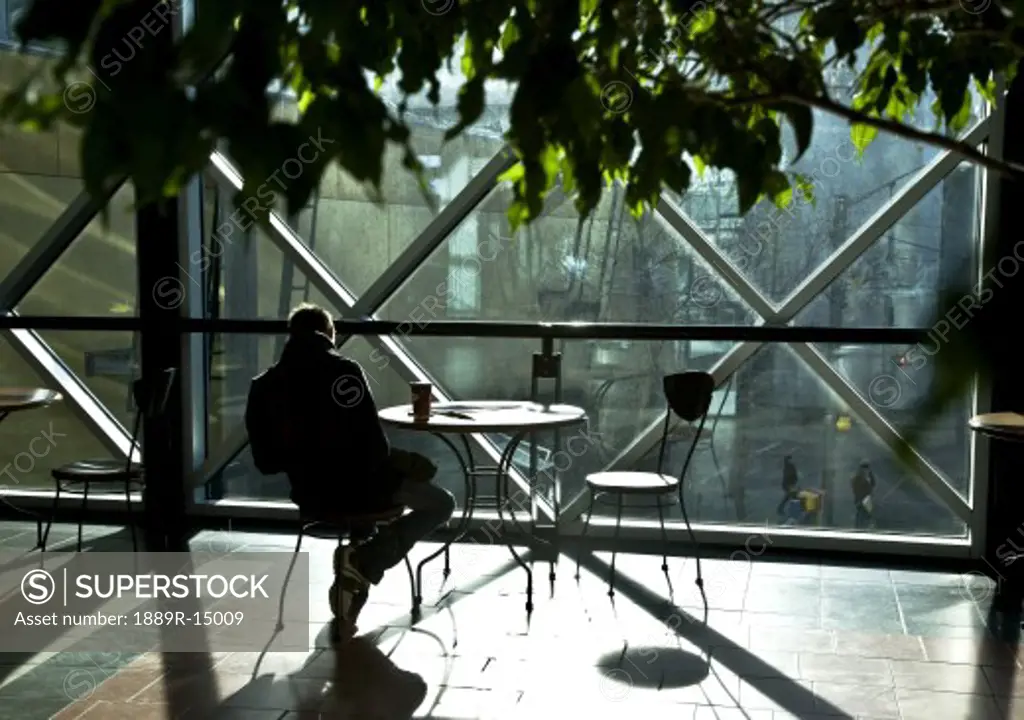 Person sitting at table in glass building