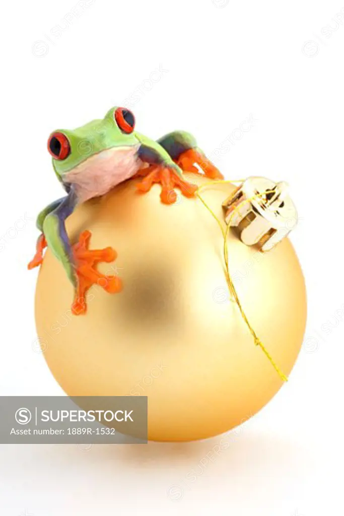 Frog sitting on Christmas ball