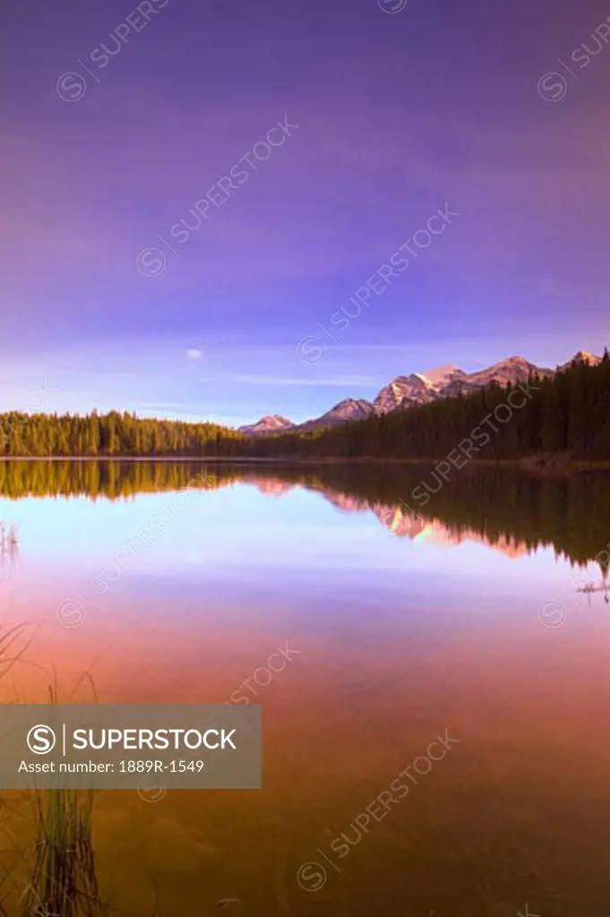 Herbert Lake Banff National Park Alberta, Canada