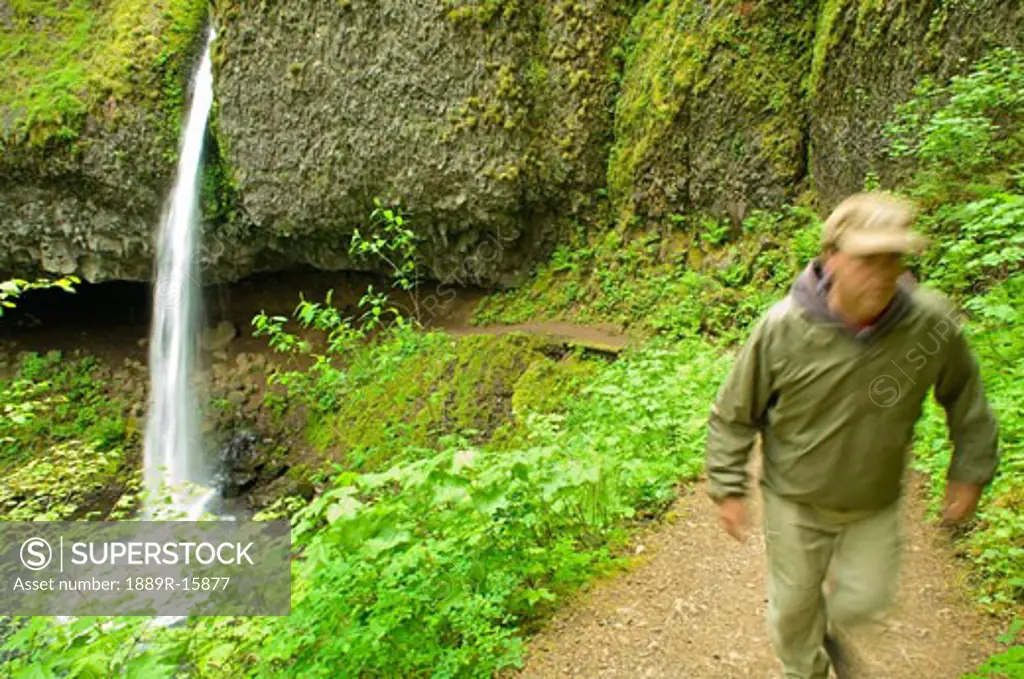 Ponytail falls, Columbia River Gorge, Oregon, USA; Hiker