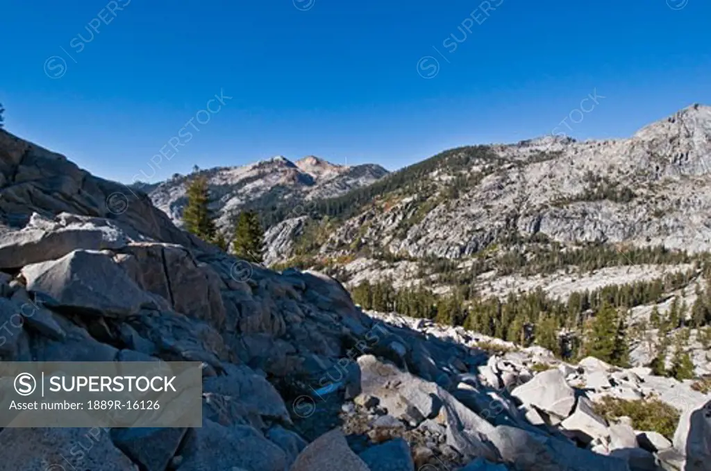 Sequoia National Park, California, USA