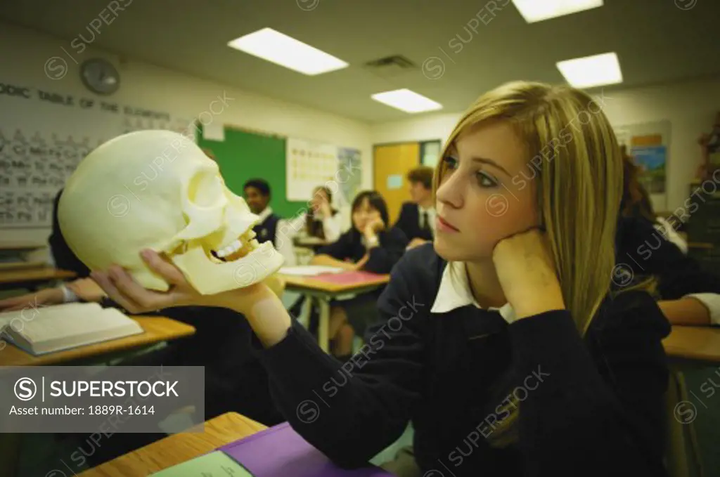Female student examining skull