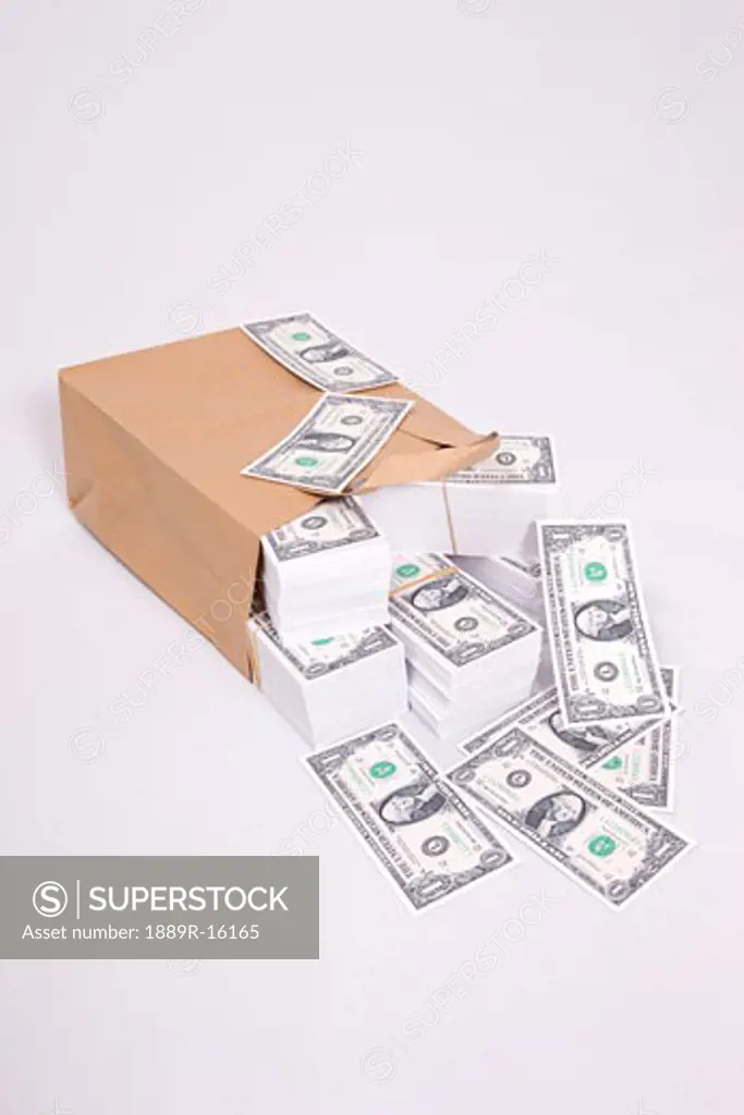 Paper bag full of money