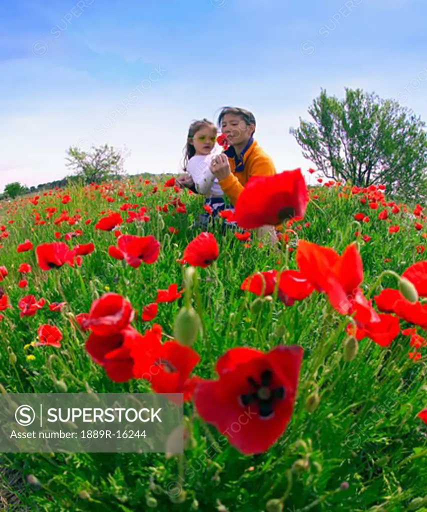 Saint-Rémy-de-Provence, Provence, France; Mother and daughter in poppy field