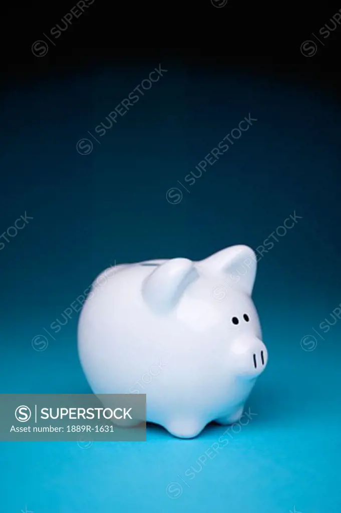 White pottery piggy bank