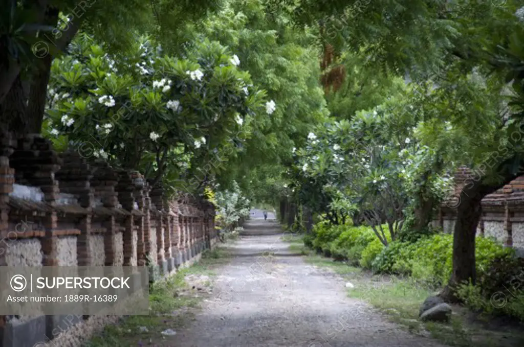 Path; Bali, Indonesia