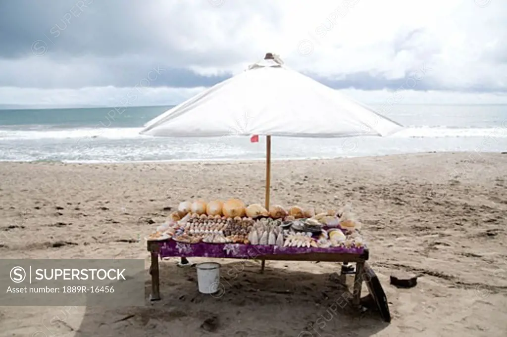 Indonesia; Table with shell display
