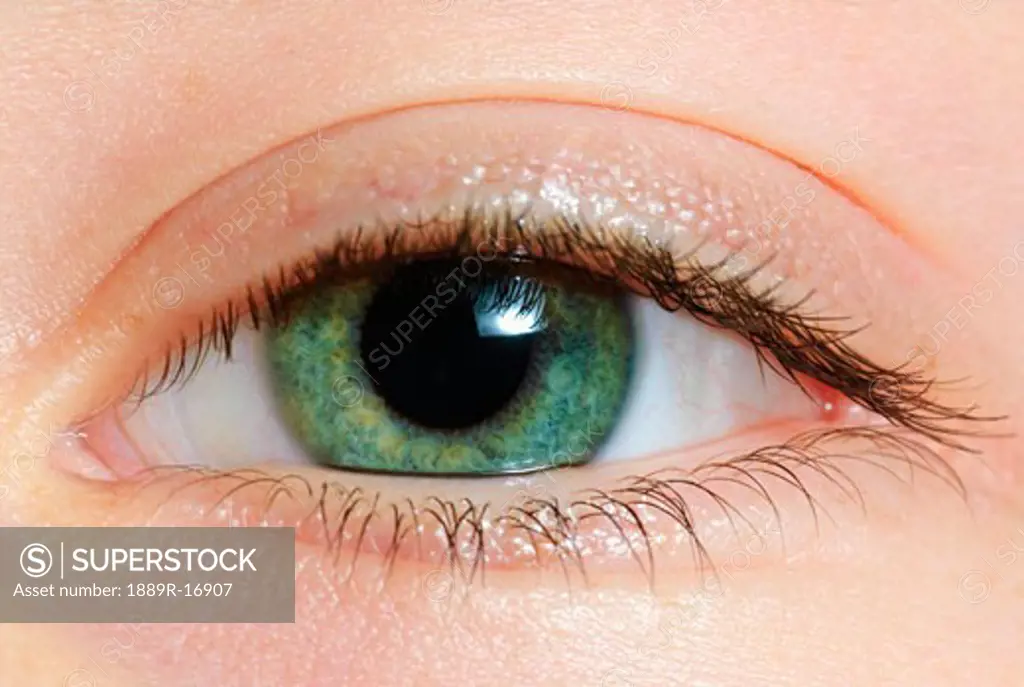 Closeup of a green eye