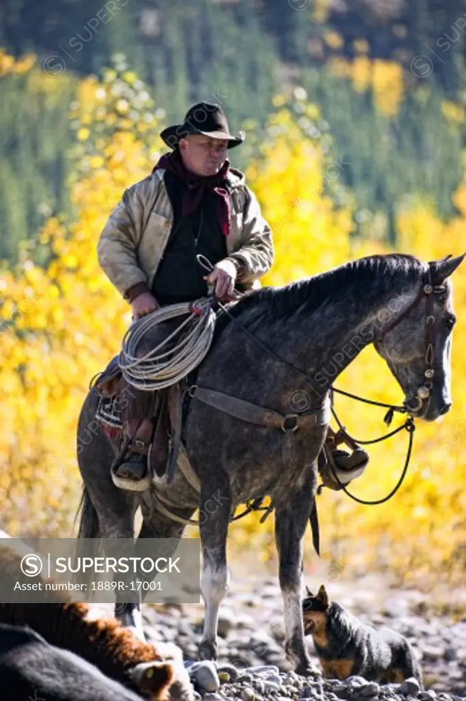 Cowboy on his horse with his dog