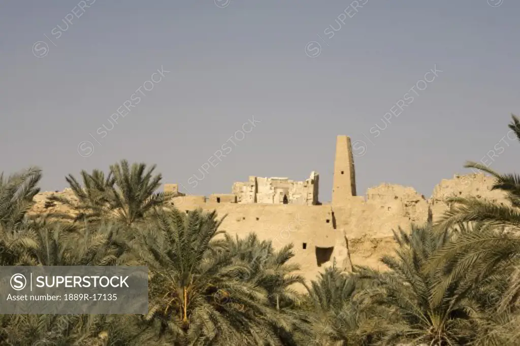 Aghurmi, Siwa Oasis, Egypt; Temple of the Oracle