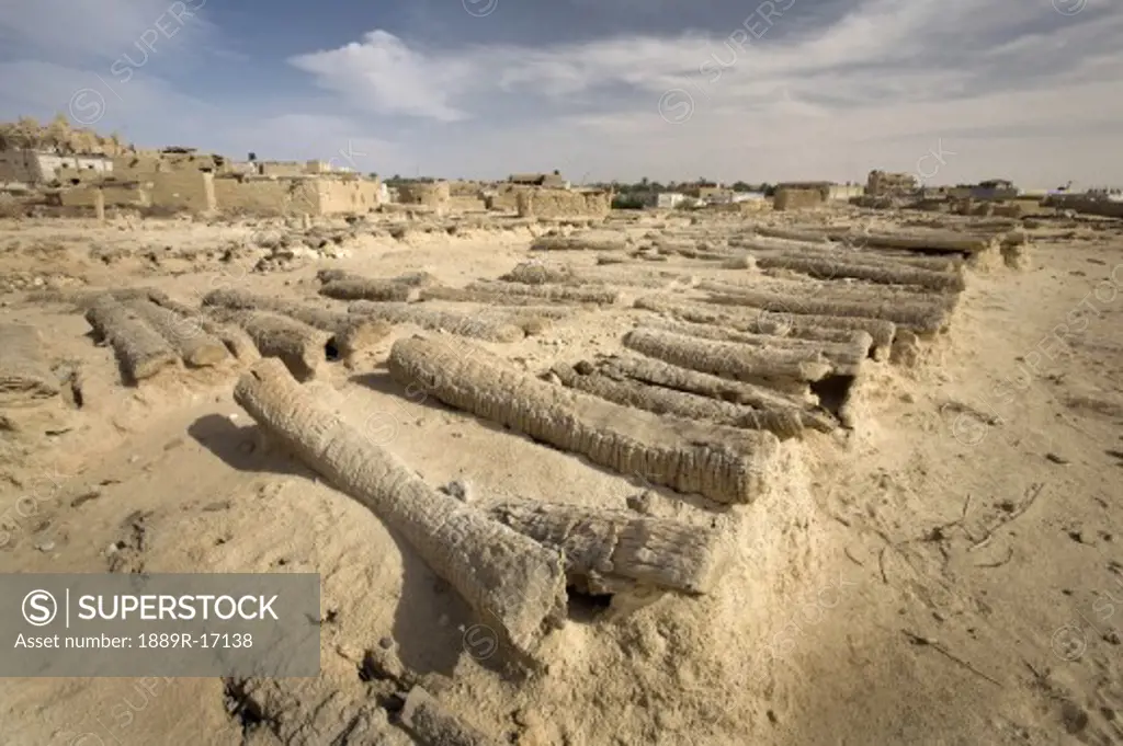Siwa Town, Siwa Oasis, Egypt; Siwan cemetery in Fortress of Shali