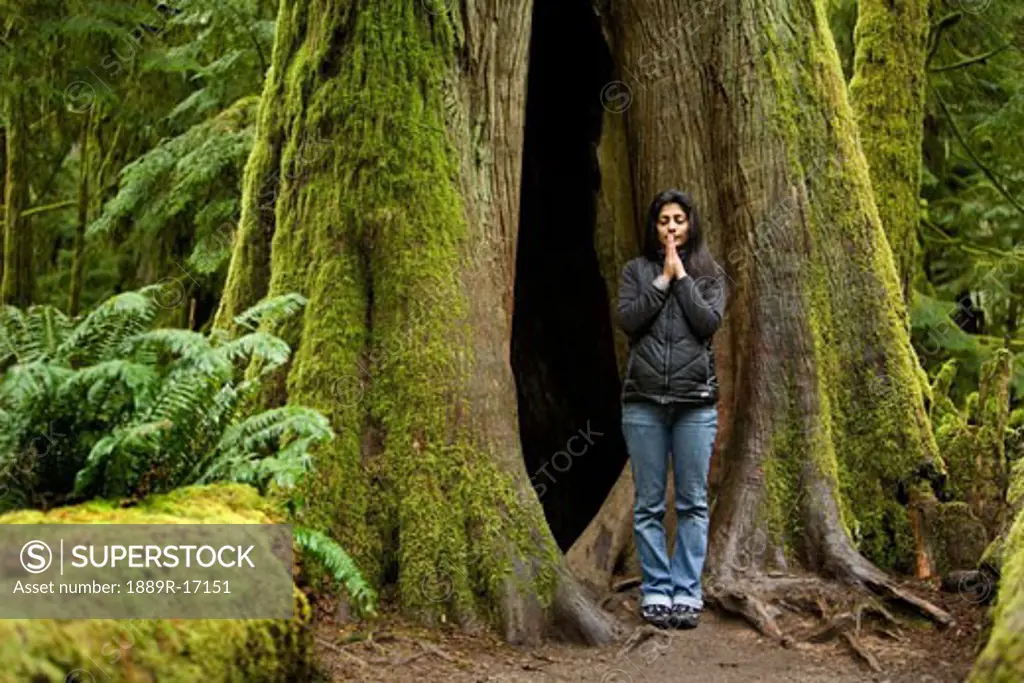 A young woman meditates next to a massive moss-covered oldgrowth Douglas fir tree in Cathedral Grove, in MacMillan Provincial Park on Vancouver Island, British Columbia, Canada.  