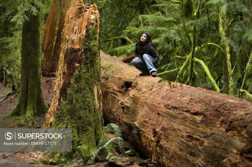 Cathedral Grove, MacMillan Provincial Park, Vancouver Island, British Columbia, Canada; Woman sitting on a fallen tree