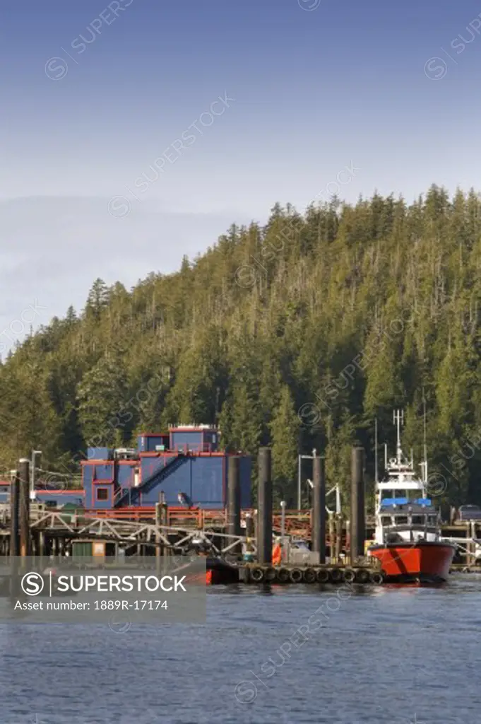 Tofino, Vancouver Island, British Columbia, Canada; Boats in harbor