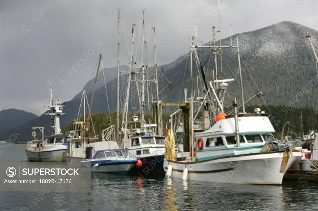 Tofino, Vancouver Island, British Columbia, Canada; Fishing boats in harbor