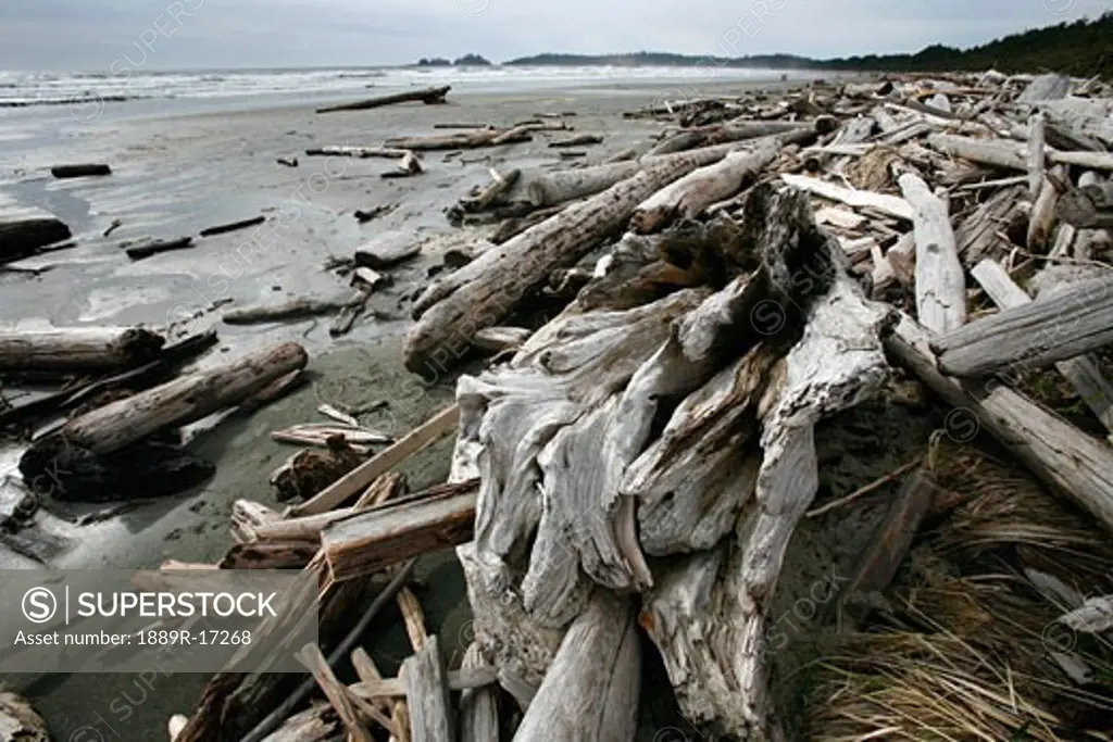 Long Beach, Pacific Rim National Park, Vancouver Island, British Columbia, Canada; driftwood along the beach
