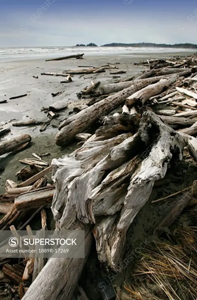 Long Beach, Pacific Rim National Park, Vancouver Island, British Columbia, Canada; driftwood along the beach