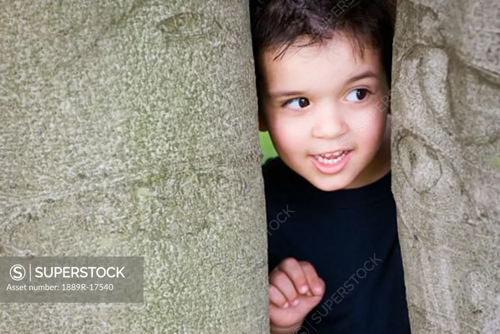 Peeking; boy peeking between trees