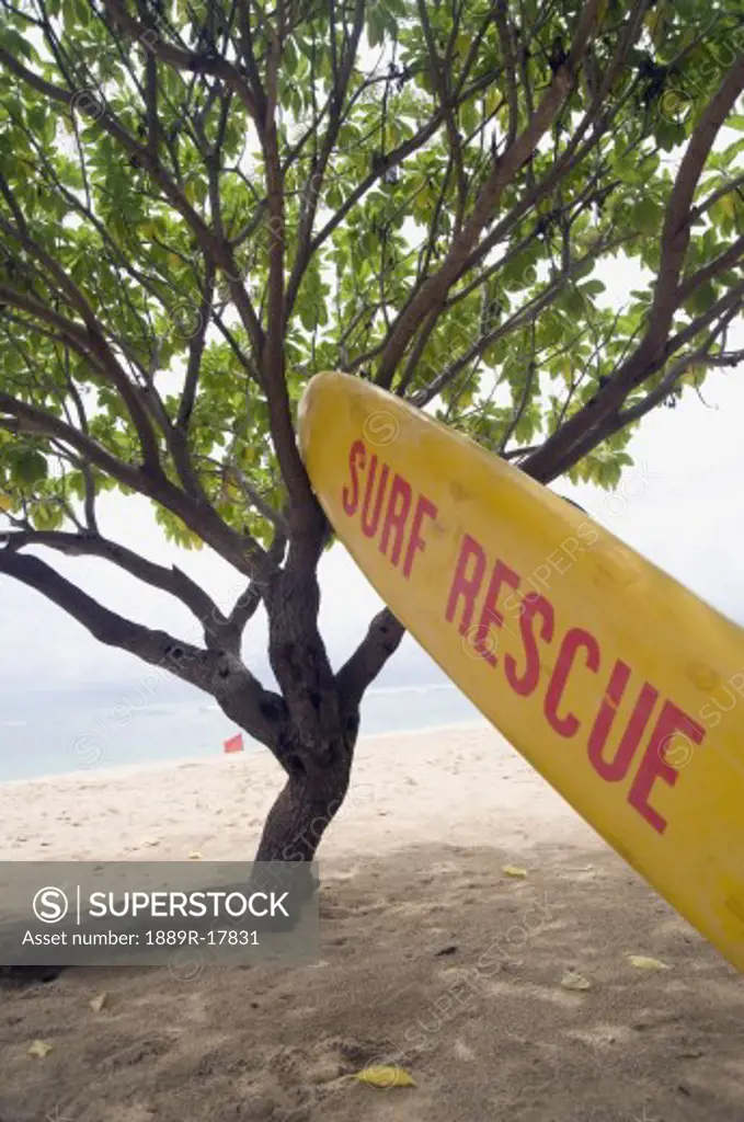Nusa Dua beach, Nusa Dua, Bali, Indonesia; Rescue craft leaning on tree