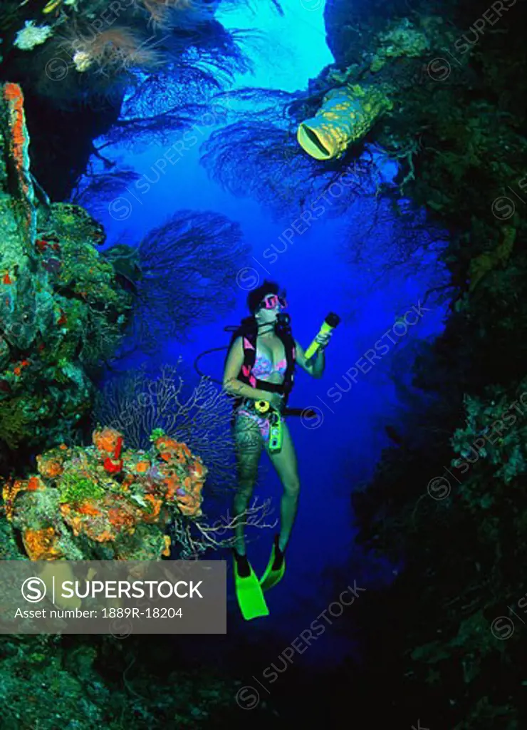 Scuba diver swimming through deep coral grotto