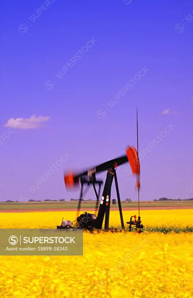 Oil pump jack in canola field