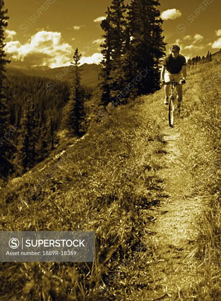Man riding mountain bike on narrow path