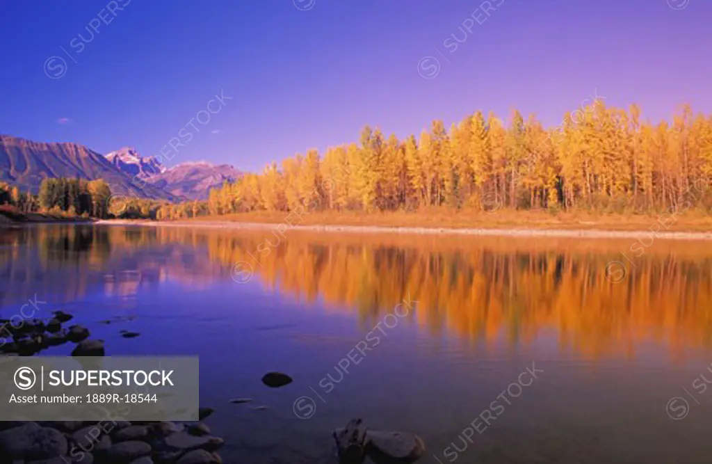 Mountain river with forest in autumn