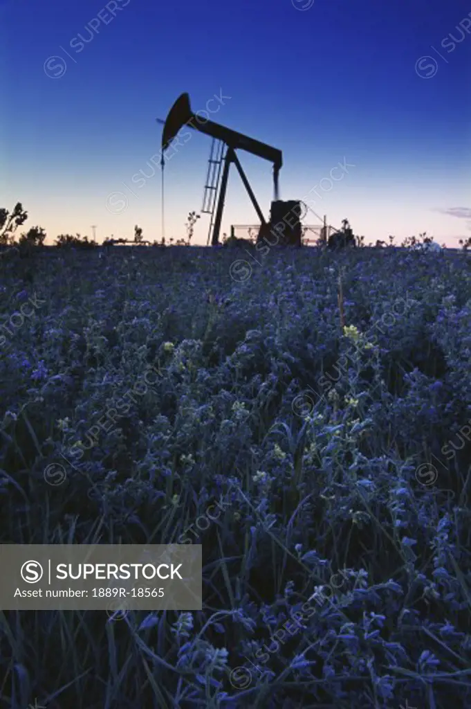 Oil pump in field at sunset