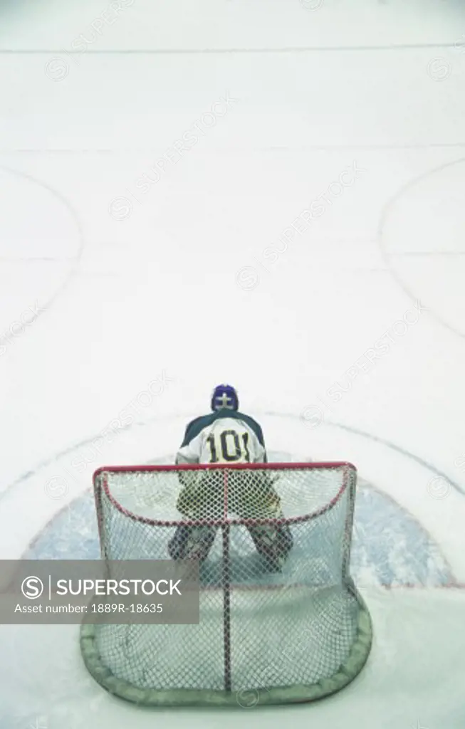 Ice hockey goalie in crease