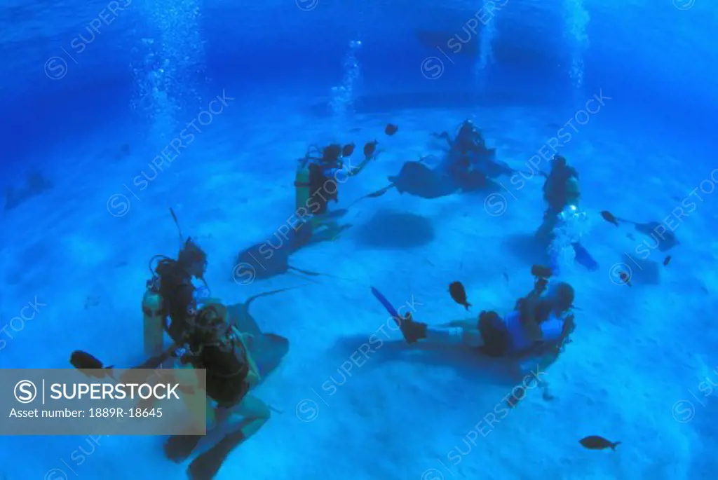 Scuba divers on ocean floor with sting rays