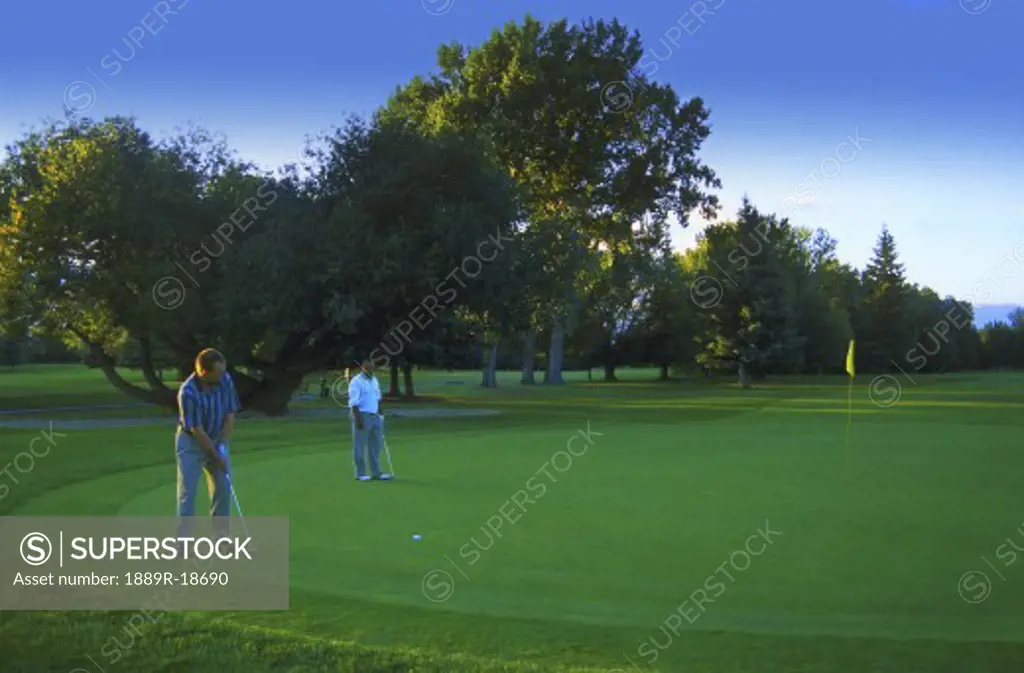 Two golfers on green