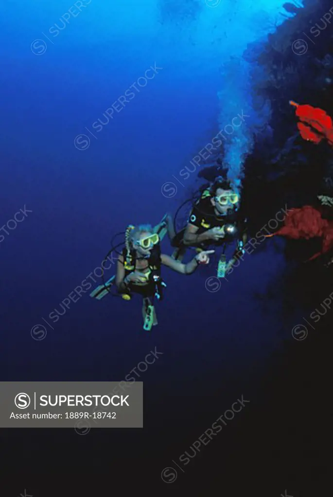 Scuba divers wall diving East End Grand Cayman