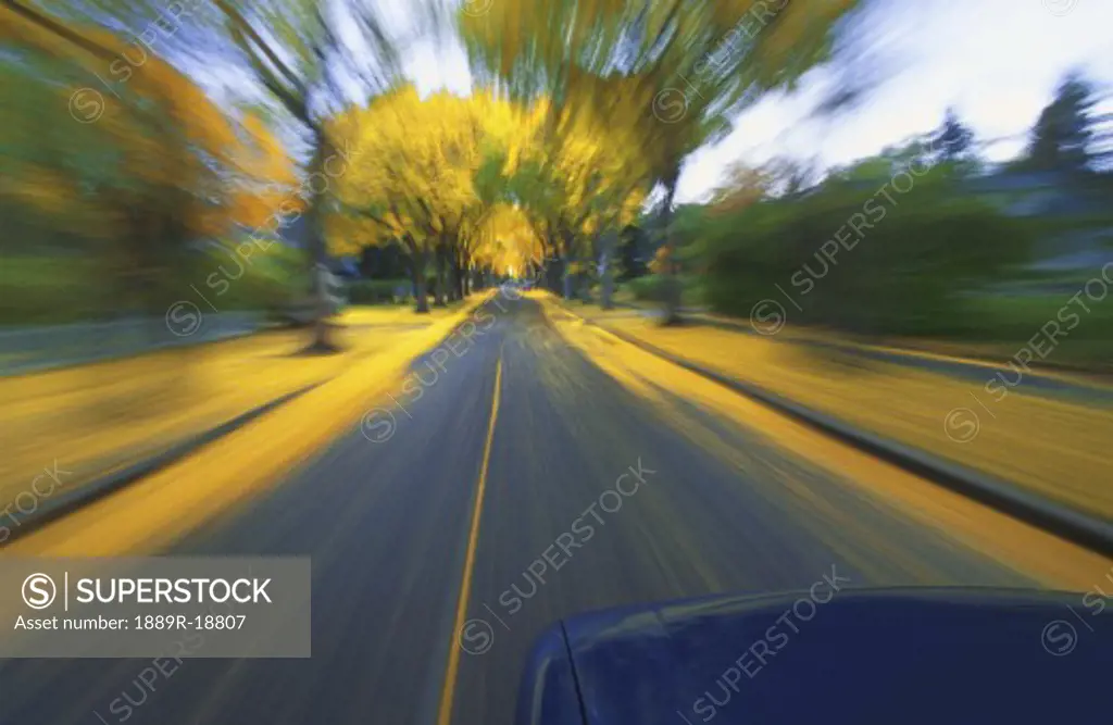 Speeding down a road in autumn