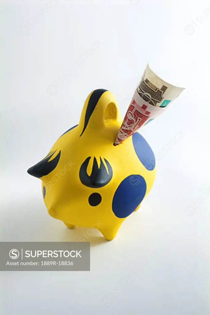 Money in piggy bank