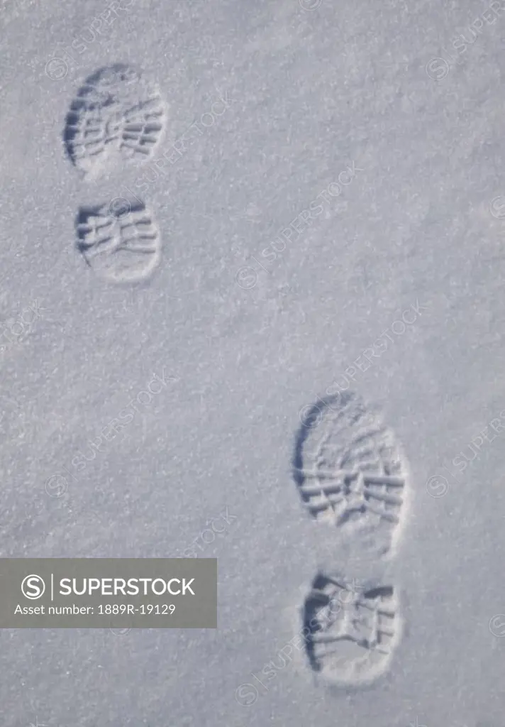 Foot prints in the snow