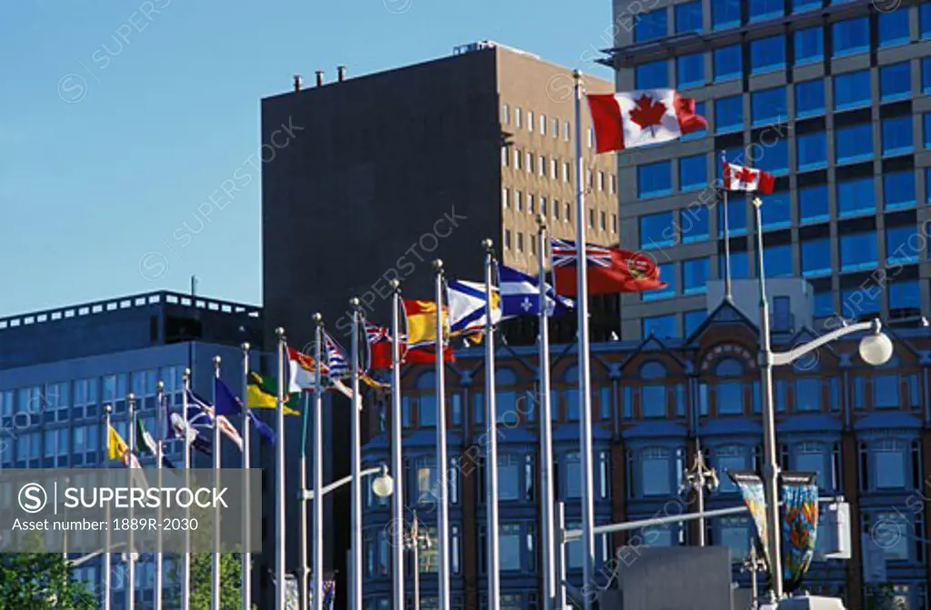 Flags flying outside large buildings