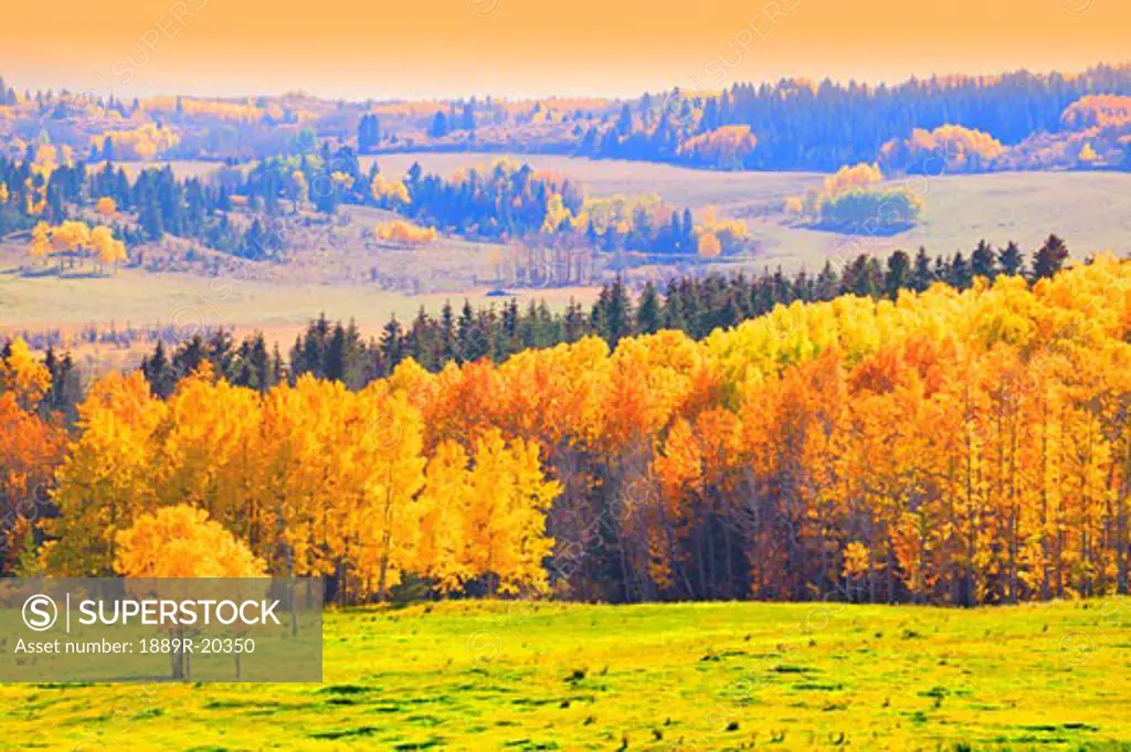 Countryside in autumn
