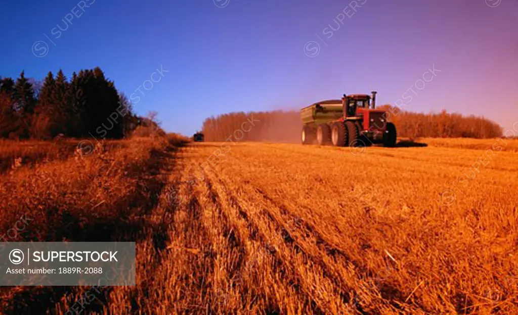 Harvest time