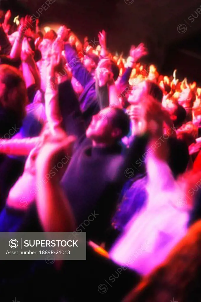 Group at a concert
