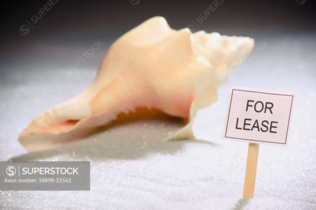 A seashell for lease
