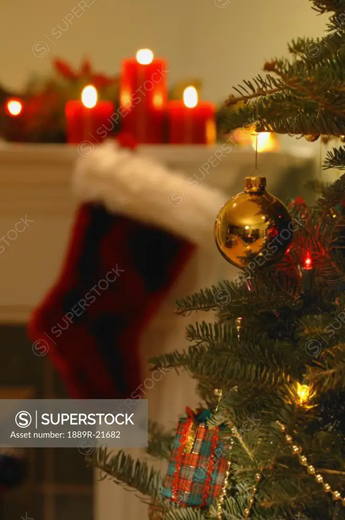 Christmas Stocking and Tree