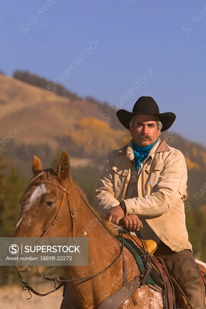 Portrait of cowboy on horse