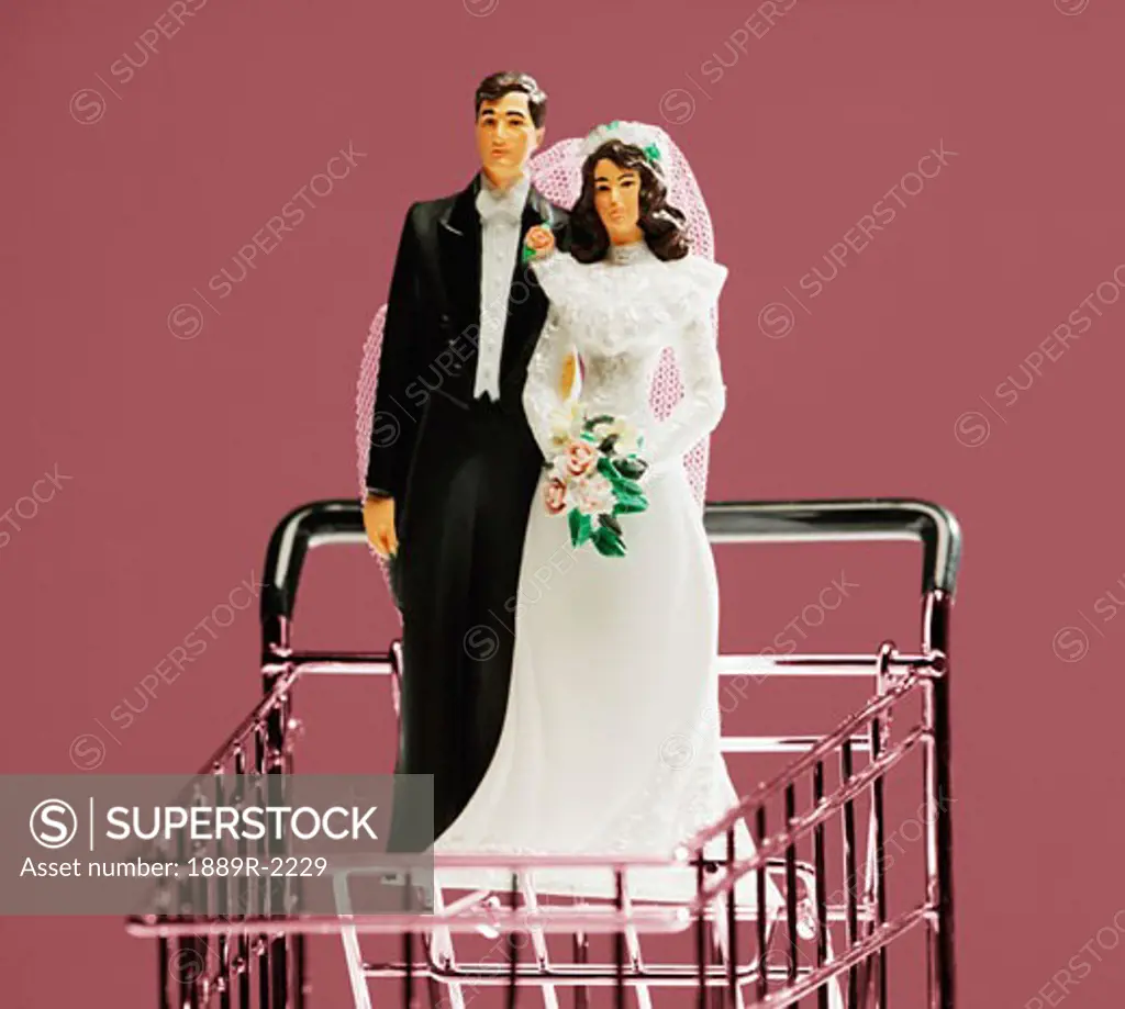 Bride and groom ornament in shopping cart
