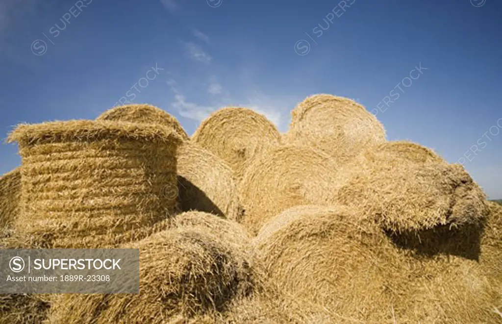 Piled Bales of Hay