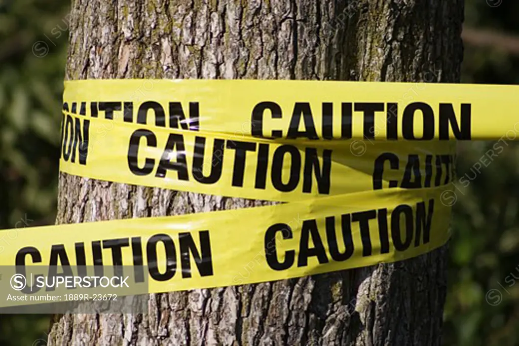 Caution tape wrapped around tree
